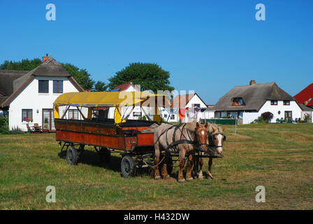 Deutschland, Mecklenburg-Vorpommern, Insel Hiddensee, neues Dorf, der Pferdekutsche, Stockfoto