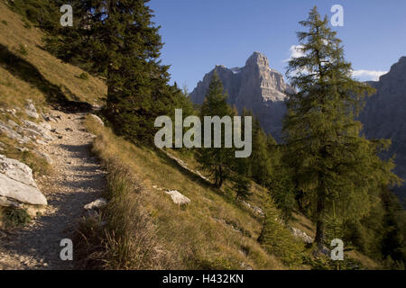 Italien, Trentino, Dolomiten, Madonna Tu Campiglio, Vallesinella, Berg Holz, Wanderweg, den Brenta-Dolomiten, Ostalpen, Kalk, Alpen, Alpen, Berge, Berge, Natur, Holz, Nadelwald, Herbst, Weg, Weg, Weg, Steig, menschenleer, Lebensraum, Stockfoto