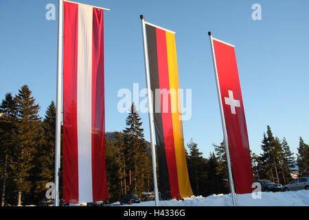 Österreich, Tirol, Meer Bereich, Skifahren Bereich Pferd Hütte, Fahnen, Winter, Wintersport-Ort, olympischer Platz, Urlaubsort, Fahnenmasten, Fahnen, Nationalität, dekorieren mit Fahnen, Nationen, International, europäisch, der EU, Stockfoto