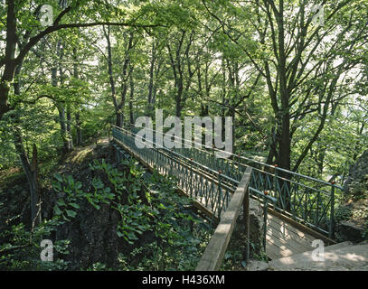 Deutschland, Baden-Wurttemberg, Heu brook, schwäbische Albtraum, rosa Stein, Brücke, Holz, Stockfoto