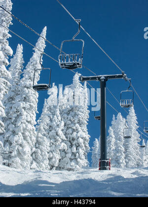 Priester Creek heben aus Kuus' Cruise Trail, Steamboat Ski Area, Steamboat Springs, Colorado. Stockfoto