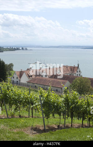 Deutschland, Baden-Wurttemberg, Uhldingen-Mühlhofen, Kloster Birnau, Bodensee, Weingarten, Struktur, Gebäude, Kreuzgang, Blick, See, Stiefel, Segelboote, Weinbau, Tourismus, niemand, Stockfoto