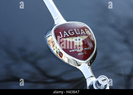 Jaguar XK 140, Oldtimer, Detail, Emblem, Stockfoto