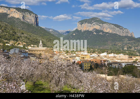 Spanien, die Balearen Insel Mallorca, Alaro, lokale Ansicht, Mandelbäume blühen, Stockfoto