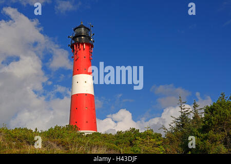 Leuchtturm Hörnum, Sylt, Nordfriesische Inseln, Nordfriesland, Schleswig Holstein, Norddeutschland Stockfoto