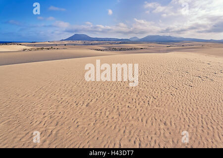 Sanddünen, Naturpark von Corralejo, Fuerteventura, Kanarische Inseln, Spanien Stockfoto