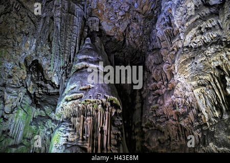 Stalaktiten Höhle St. Michaels Höhle, Tropfsteinhöhle in den Naturpark Oberer Felsen, beleuchtet, Gibraltar Stockfoto