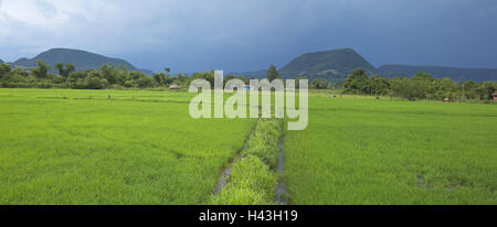 Reisen Brasilien, Rio Grande do Sul, Santa Maria, Feld, Südamerika, Südbrasilien, wachsende, Reisen, Reisen Wasserfeld, Monokultur, Korn, Boden essen, Landwirtschaft, Landwirtschaft, Gaucholand, Gewitter Himmel, Panorama-Foto, Wolken, düster, menschenleer, Wasser zu springen, Stockfoto