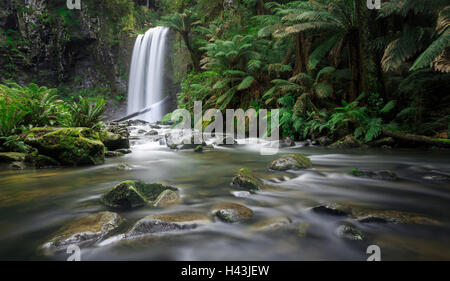 Hopetoun Falls, Great Otways Nationalpark, Victoria, Australien Stockfoto