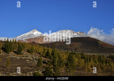 Spanien, Kanarische Inseln, Teneriffa, Parque Nacional del Teide, Pico Viejo, Snowy, Stockfoto