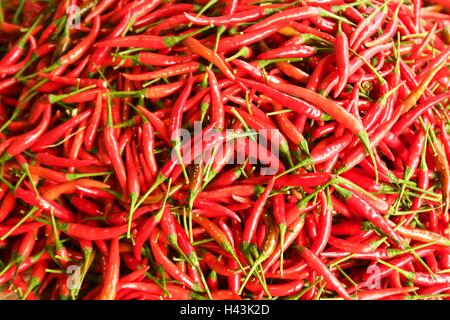 Padi Chili, Pfeffer Bird es Eye Chili, Vogel Chilli, Thai Stockfoto