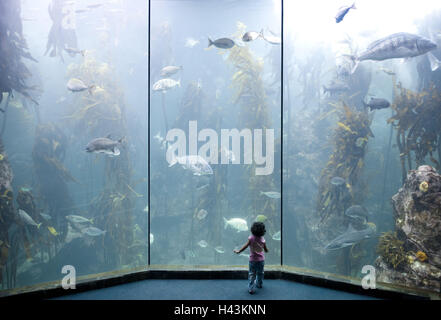 Südafrika, Kapstadt, False Bay, Two Oceans Aquarium, Besucher, Stockfoto