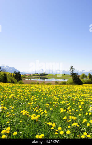 Deutschland, Bayern, Ost Allgäu, See mit Greith, enge Füße, Stockfoto