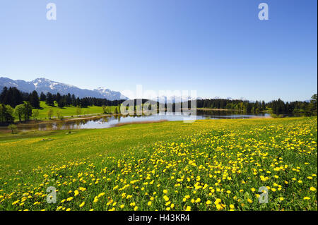 Deutschland, Bayern, Ost Allgäu, Hegratsrieder See mit Halblech, Stockfoto