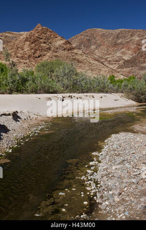 Afrika, Namibia, Region Kunene, Kaokoveld, Hoarusib, trockenen Fluss, ephemer, Fluss-Oase, Namib-Wüste, Stockfoto