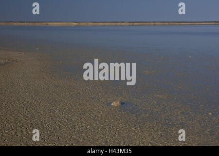 Afrika, Namibia, Region Kunene, Etosha Nationalpark, ETOSHAPFANNE, Wasser, Ufer, Stockfoto
