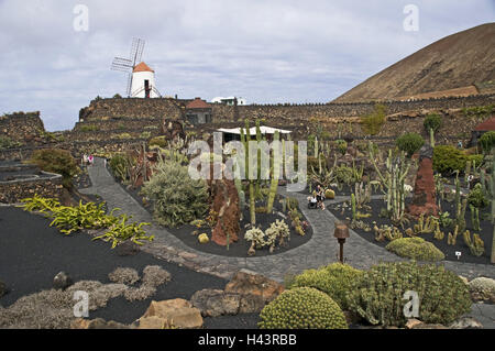 Spanien, Kanarische Inseln, Lanzarote, "Jardin de Cactus", Kakteengarten, Windmühle, Stockfoto