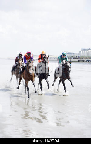 Deutschland, Niedersachsen, Cuxhaven, Watt, Pferderennen, Hintergrundbeleuchtung, Stockfoto