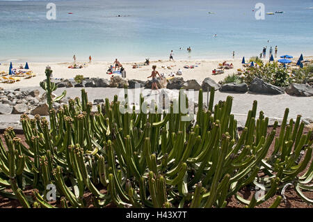Spanien, Kanarische Inseln, Lanzarote, Playa Blanca, am Strand Bucht, Playa Dorada, Tourist, Stockfoto