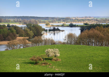 Deutschland, Mecklenburg-Vorpommern, Mecklenburg Tiefland deutlich voller Seen, nahe Neubrandenburg, Frühling, Stockfoto