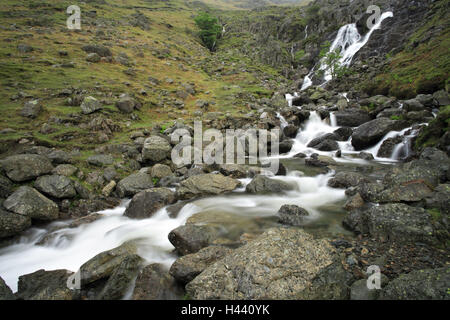 Großbritannien, England, Cumbria, Lake District, Great Langdale, scheut Ghyll, Stockfoto