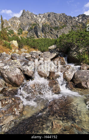 Berg-Stream Hincov Polok, Klippe Gesicht "Voll Hrabat", Strbske Pleso, Nationalpark der hohen Tatra, Presovsky Kraj, Slowakei, Stockfoto