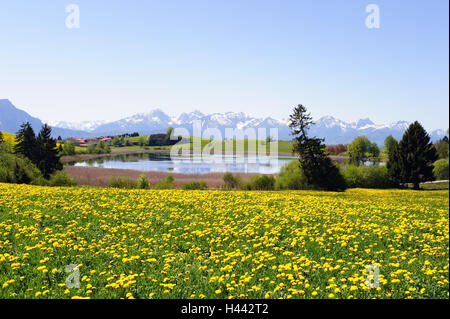 Deutschland, Bayern, Ost Allgäu, See mit Greith, enge Füße, Stockfoto