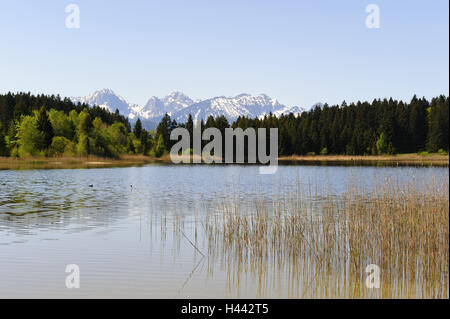 Deutschland, Bayern, Ost Allgäu, Hegratsrieder See mit Halblech, Stockfoto