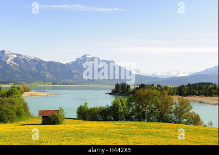 Deutschland, Bayern, Ost Allgäu, Landschaft nahe Füssen, Stockfoto