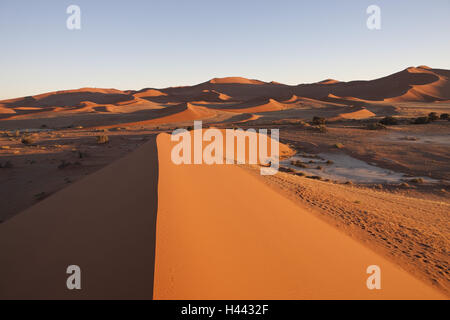 Afrika, Namibia, Region Erongo, Hardap, Karas, Namib Naukluft Nationalpark, Namib-Wüste, Stockfoto