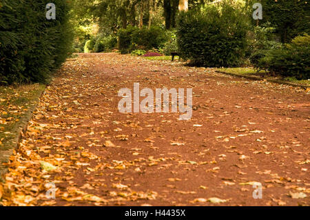 Friedhof Weg in Herbst, Friedhof Bredeny, Essen, North Rhine-Westphalia, Germany, Stockfoto