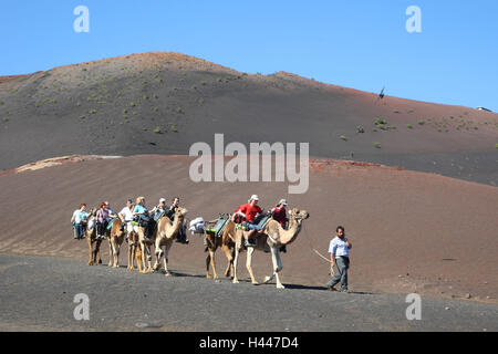 Spanien, die Kanarischen Inseln, Lanzarote, Nationalpark Timanfaya, Dromedare, Touristen, Stockfoto