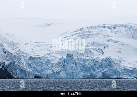 South Shetland, King George Island, Maxwell Bay, Potter Cove, Gletscher, Stockfoto