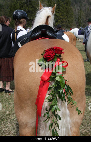 Deutschland, Bayern, Mittenwald, Georgi Ritt, Pferd, Tail, Blüten, Schleife, rot, detail, Süddeutschland, Oberbayern, Wiese, Tiere, Urlaub, Urlaub, Georgi, bluten, Pilgerreise, Wallfahrt des Pferdes, Jubiläum, prächtig, dekoriert, Pferdeschwanz, Segen, außerhalb, Rosen, Stockfoto