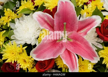 Rosa-Lilly gelb rote Rosen weiße Spinne gemischte Chrysanthemenblüte Stockfoto