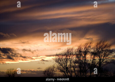 Frankreich, Bourgogne, Dijon, St.-Seine-Sur-Vingeanne, Sonnenuntergang, Stockfoto