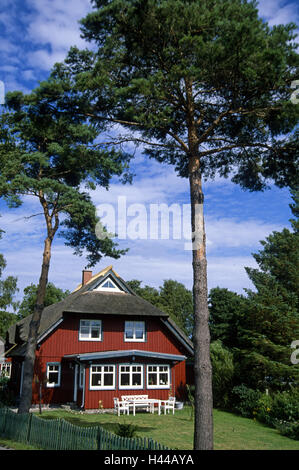 Norddeutschland, Prerow, rote reetgedeckte Haus, Stockfoto