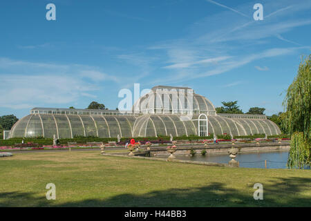 Das Palm House, Kew Royal Botanical Gardens, London, England Stockfoto