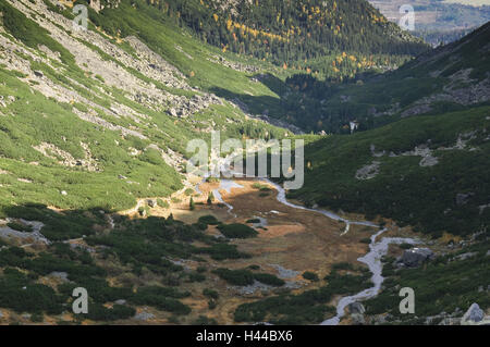 Kleinen chill Bach Tal Linie Blick Süd, Nationalpark der hohen Tatra, Presovsky Kraj, Slowakei, Stockfoto