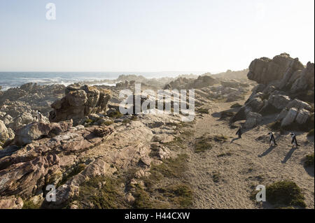 Südafrika, Western Cape, Cape Peninsula, South Western Cape, Bettys Bay, Kap der guten Hoffnung, Overberg, Kogelbergl Biosphärenreservat, Stony Point, Stockfoto