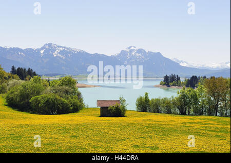 Deutschland, Bayern, Ost Allgäu, Landschaft nahe Füssen, Stockfoto