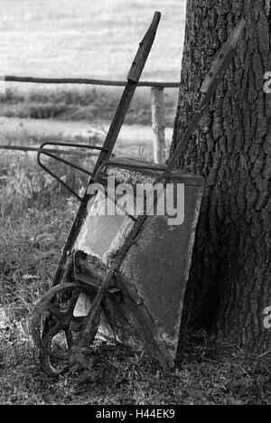 Barrow, Stamm, Zaun, Weg, Wiese, s/w, Stockfoto