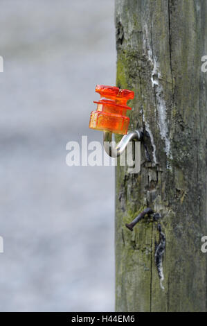 Weide Zaun, Pfosten, Isolator, Nagel, Metall, Kunststoff, Orange, Stockfoto