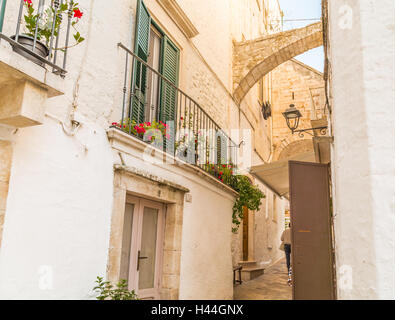 Locorotondo in Apulien, Italien, hängenden Blüten von weiß getünchten Häusern in engen Gassen Stockfoto