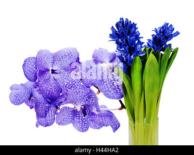 Bunter Strauß aus Hyazinthenblumen Anordnung Herzstück isoliert auf weißem Hintergrund. Stockfoto