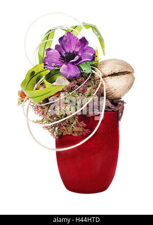 Abstrakte Komposition aus Kokosnuss, Blume, Felsen und Reben Anordnung Herzstück in Vase isoliert auf weißem Hintergrund. Stockfoto