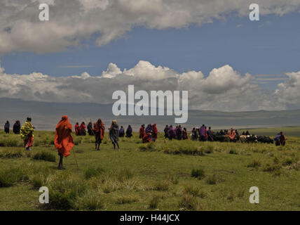 Afrika, Tansania, Ngorongoro Hochland, Massai, Herde Vieh, Stockfoto