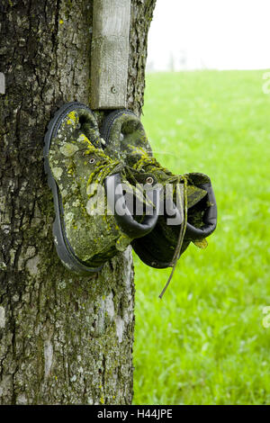 Jakobsweg, der Pilger Schuhe, genagelt, Stamm, Stockfoto