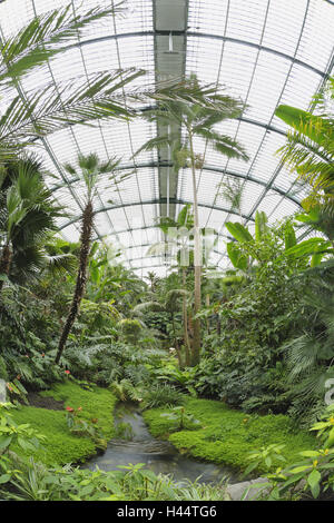 Glas, Dach, Palmenhaus, Palmengarten, Frankfurt am Main, Hessen, Deutschland, Stockfoto