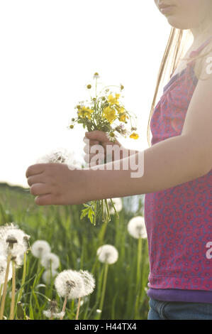 Mädchen, Wiese, Blumen Pick, mittlere Nahaufnahme, Detail, Stockfoto